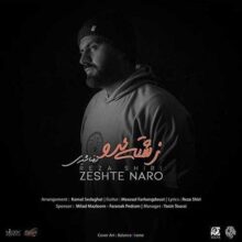 کاور آهنگ رضا شیری به نام زشته نرو