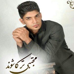دانلود ریمیکس آهنگ مجتبی ترکاشوند به نام کبوتر دل افتاده دامش