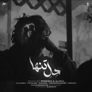دانلود ریمیکس آهنگ دل تنها از محسن یگانه و امیر تتلو و رضا پیشرو و شایع و هیپهاپولوژیست