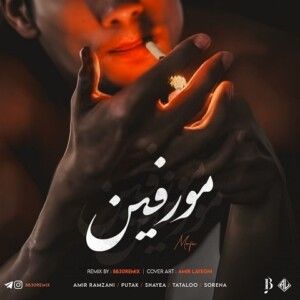 دانلود ریمیکس کوردی آهنگ شدی با من غریبه کسی منه تو این حالم ندیده از امیر رمضانی و پوتک و امیر تتلو و شایع و علی سورنا