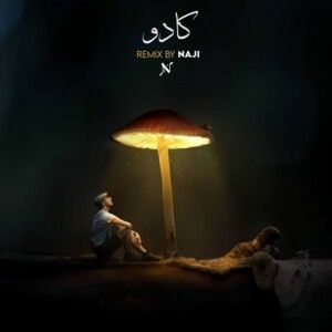 دانلود ریمیکس آهنگ کادو از سهراب ام جی و ناجی و صادق و علیراد دانلود ریمیکس آهنگ کادو از سهراب ام جی و ناجی و صادق و علیراد