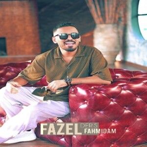 دانلود آهنگ فاضل دریس به نام فهمیدم دانلود آهنگ فاضل دریس به نام فهمیدم