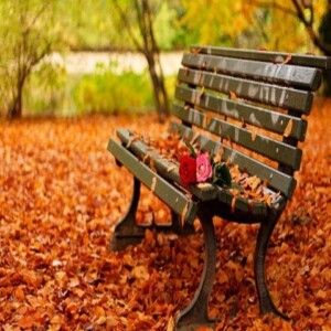 دانلود ریمیکس آهنگ موزیک لاتی به نام پاییز