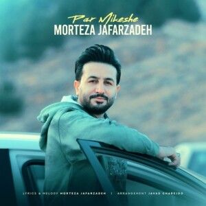 دانلود آهنگ مرتضی جعفرزاده به نام پر میکشه ورژن جدید دانلود آهنگ مرتضی جعفرزاده به نام پر میکشه ورژن جدید