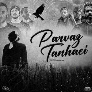 دانلود ریمیکس آهنگ پرواز تنهایی از امیر تتلو و یاس و علی سورنا و بهرام و دانیال و شایع