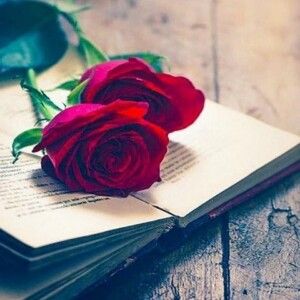 دانلود ریمیکس آهنگ ناهید به نام دوتا گل سرخ آوردی دلتو به من سپردی