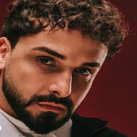 دانلود آهنگ افرا و سفو به نام اشیان