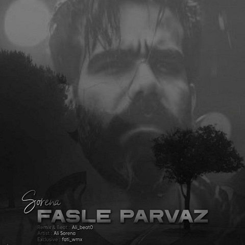دانلود ریمیکس آهنگ فصل پرواز از علی سورنا